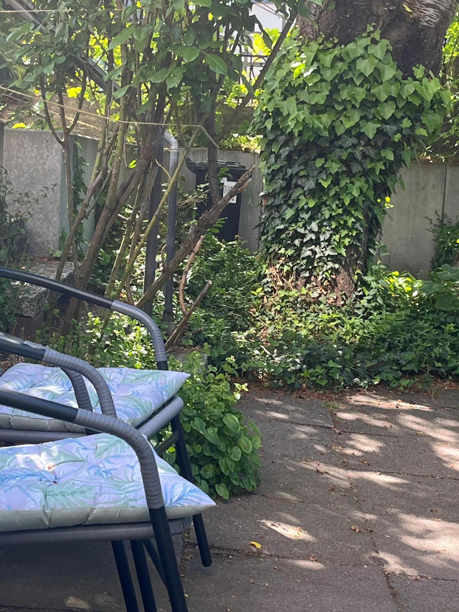 Ferienwohnung "Beste Lage" Altstadt Mit Terrasse Goslar Kültér fotó